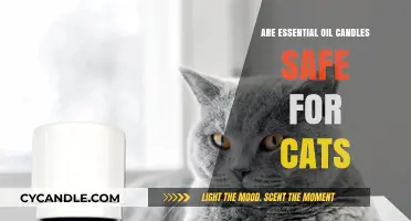 Are Essential Oil Candles Safe for Cats? What Pet Owners Need to Know