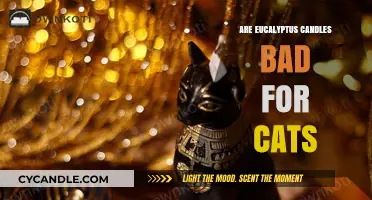 Eucalyptus Candles: Safe or Toxic for Cats?