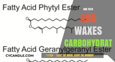 Exploring Nutrition: Are Fats and Waxes Carbohydrates?