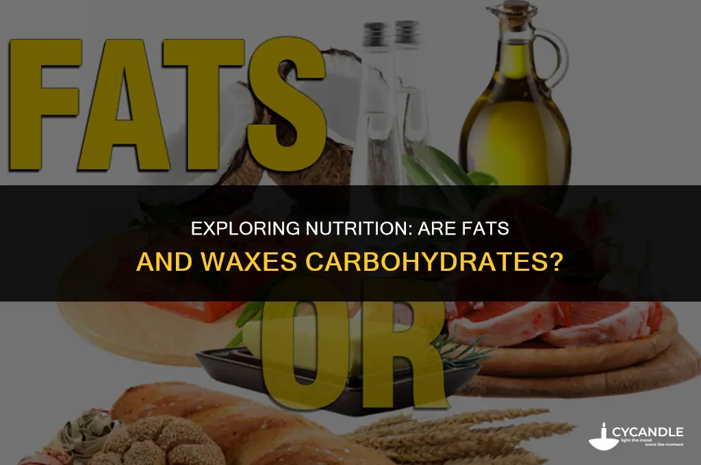 are fats and waxes carbohydrates