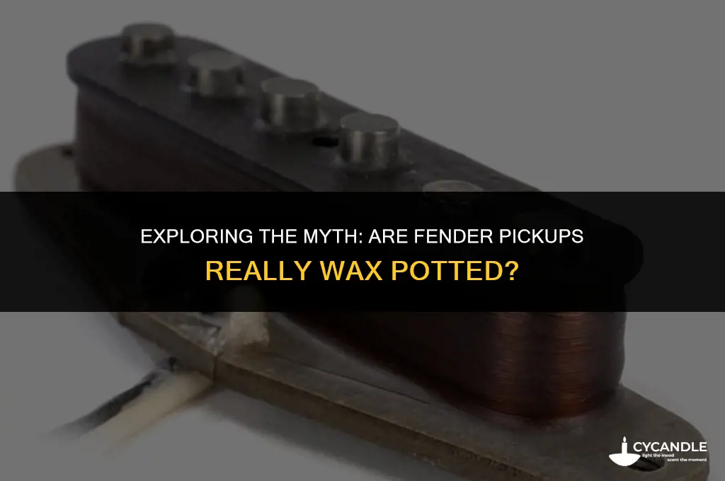 are fender pickups wax potted