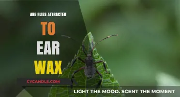 The Surprising Truth: Flies and Earwax Attraction Explained