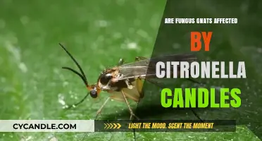 Citronella Candles: Effective Repellent for Fungus Gnats?