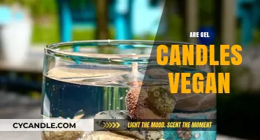Gel Candles: Vegan or Not?