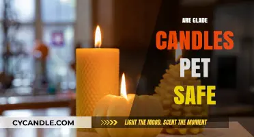 Are Glade Candles Pet Safe? A Comprehensive Guide for Pet Owners