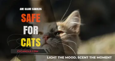 Are Glade Candles Safe for Cats? A Pet Owner's Guide