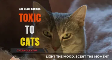 Glade Candles: Are They Safe for Cats?