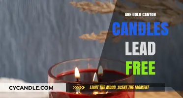 Gold Canyon Candles: Lead-Free and Safe?