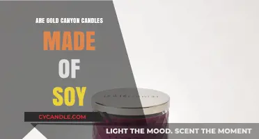 Gold Canyon Candles: Soy-Based or Not?