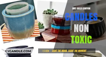 Gold Canyon Candles: Non-Toxic and Safe?