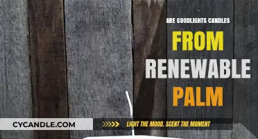 GoodLight Candles: Sustainable Palm Wax Innovation