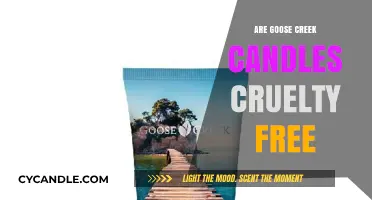 Goose Creek Candles: Ethical and Cruelty-Free?