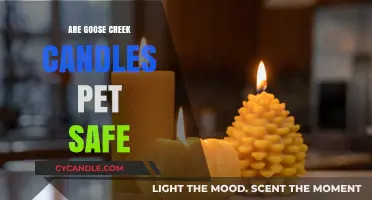 Are Goose Creek Candles Pet Safe? A Comprehensive Guide