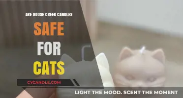 Goose Creek Candles and Cats: Ensuring Safety in Your Home