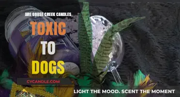 Goose Creek Candles: Are They Safe for Dogs?