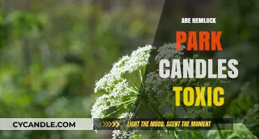 Hemlock Park Candles: Are They Safe or Toxic?