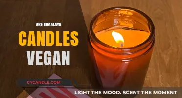 Vegan-Friendly? Himalayan Candles: What You Need to Know