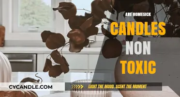 Homesick Candles: Are They Non-Toxic and Safe?