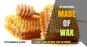 The Waxy Wonder: Unveiling the Truth About Honeycombs