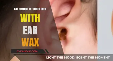 Exploring the Unique Trait of Earwax: Are Humans Alone?