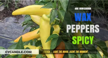 Exploring the Spice Level of Hungarian Wax Peppers: A Culinary Journey