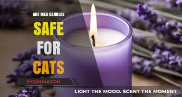 Are IKEA Candles Cat-Safe? A Pet Owner's Guide