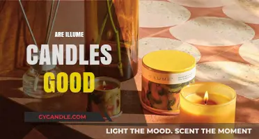 The Truth About Illume Candles: Are They Worth the Hype?