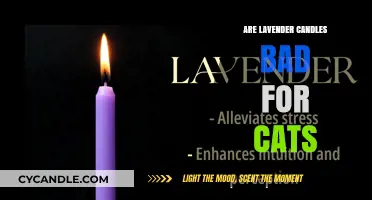 Lavender Candles: Are They Safe for Cats?