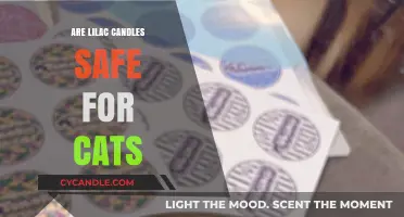 Lilac Candles and Cats: Ensuring Safety in Your Home