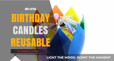 Lotus Birthday Candles: Reusable and Eco-Friendly?