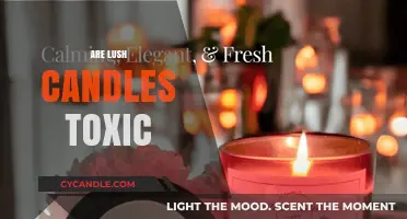Lush Candles: Are They Toxic or Safe?