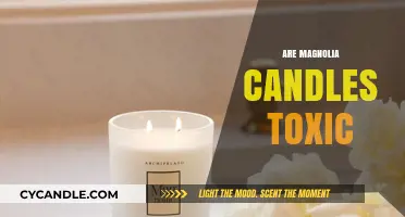 The Toxic Truth Behind Magnolia Candles