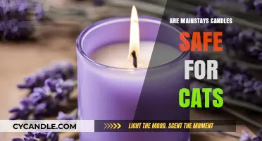 Are Mainstays Candles Cat-Safe? A Pet Owner's Guide