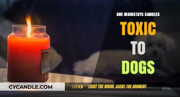 Candle Toxins: Are Mainstays Candles Harming Your Dog?