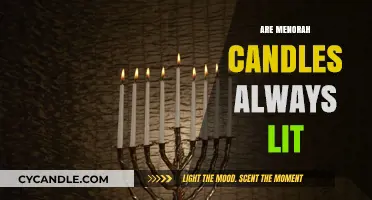 The Hanukkah Menorah: Lighting Candles Every Night