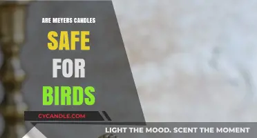 Are Meyers Candles Bird-Safe? A Pet Owner's Guide