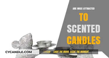 Do Scented Candles Attract Mice? Uncovering the Truth Behind the Myth