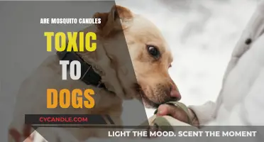 Mosquito Candles: Are They Safe for Dogs?