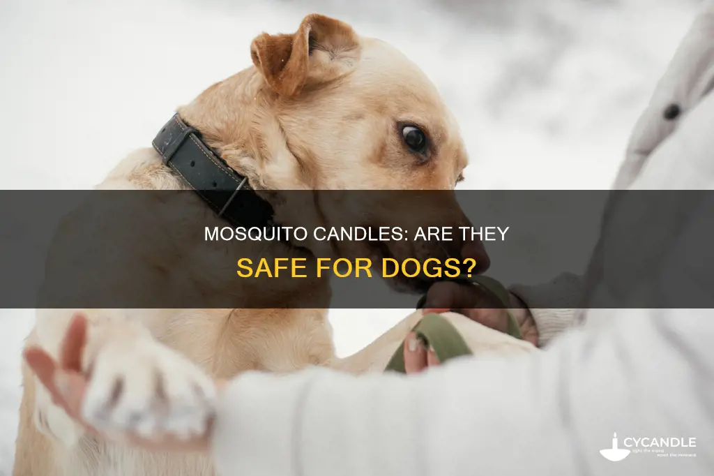 are mosquito candles toxic to dogs