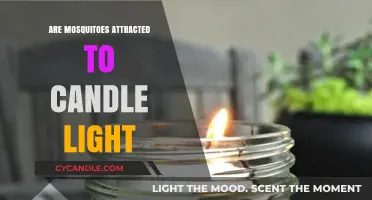 Do Candles Attract Mosquitoes? Unveiling the Truth Behind the Myth