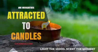 Mosquitoes and Candles: What's the Attraction?