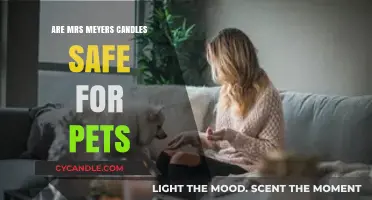 Are Mrs. Meyers Candles Pet-Safe? A Comprehensive Guide for Owners