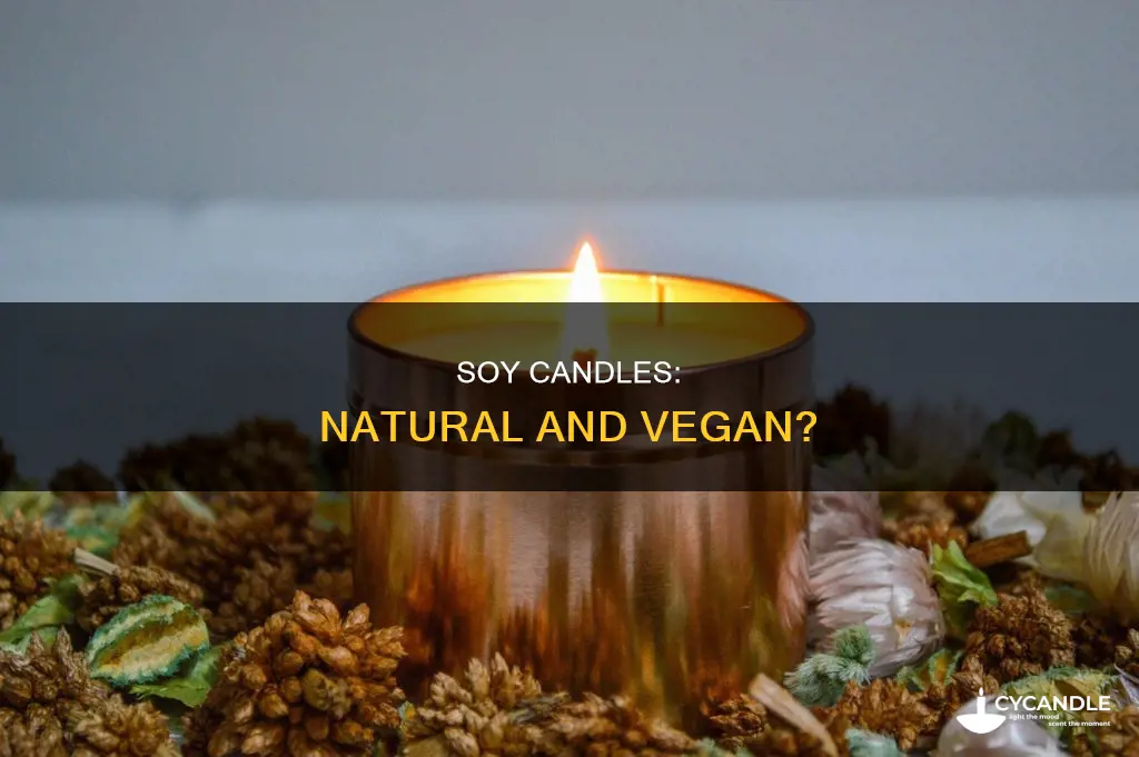 are natural soy candles vegan