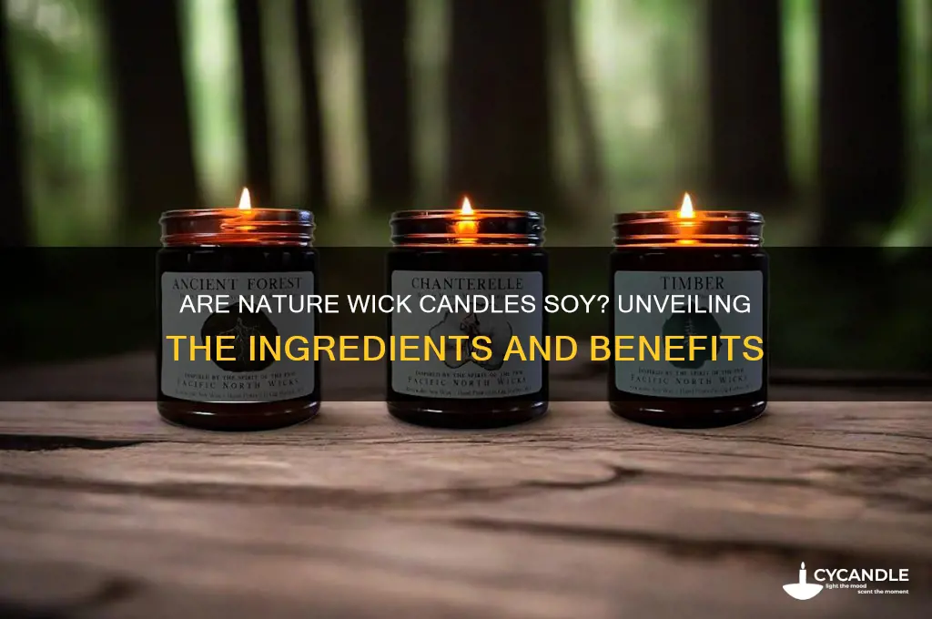 are nature wick candles soy