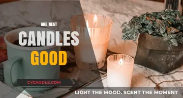 Nest Candles: Are They Worth the Hype?