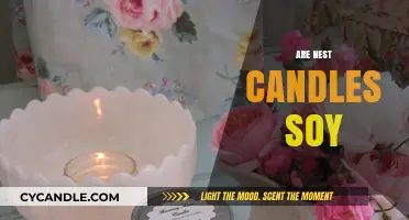 Nest Candles: Soy or Paraffin?