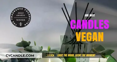 Nest Candles: Vegan or Not?