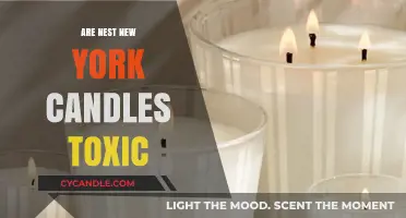 Nest New York Candles: Toxic or Safe?