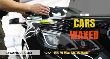 The Truth About New Cars: Are They Really Waxed?