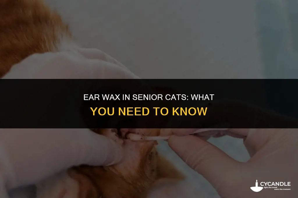 are older cats suseptible to more ear wax